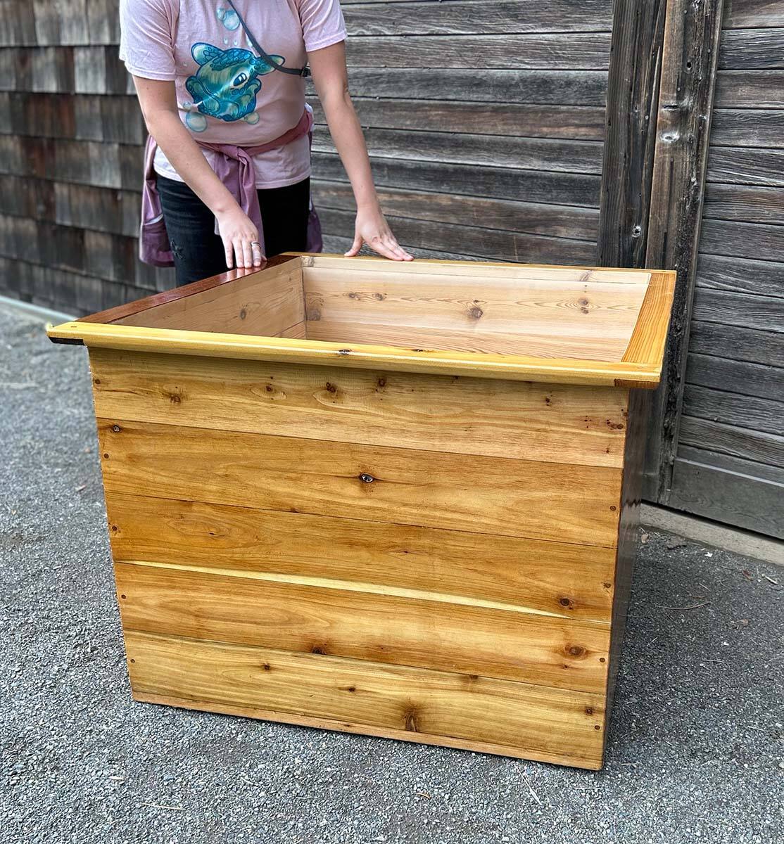Handcrafted cedar cold plunge tub shown at human scale — natural unsealed wood interior, compact square footprint