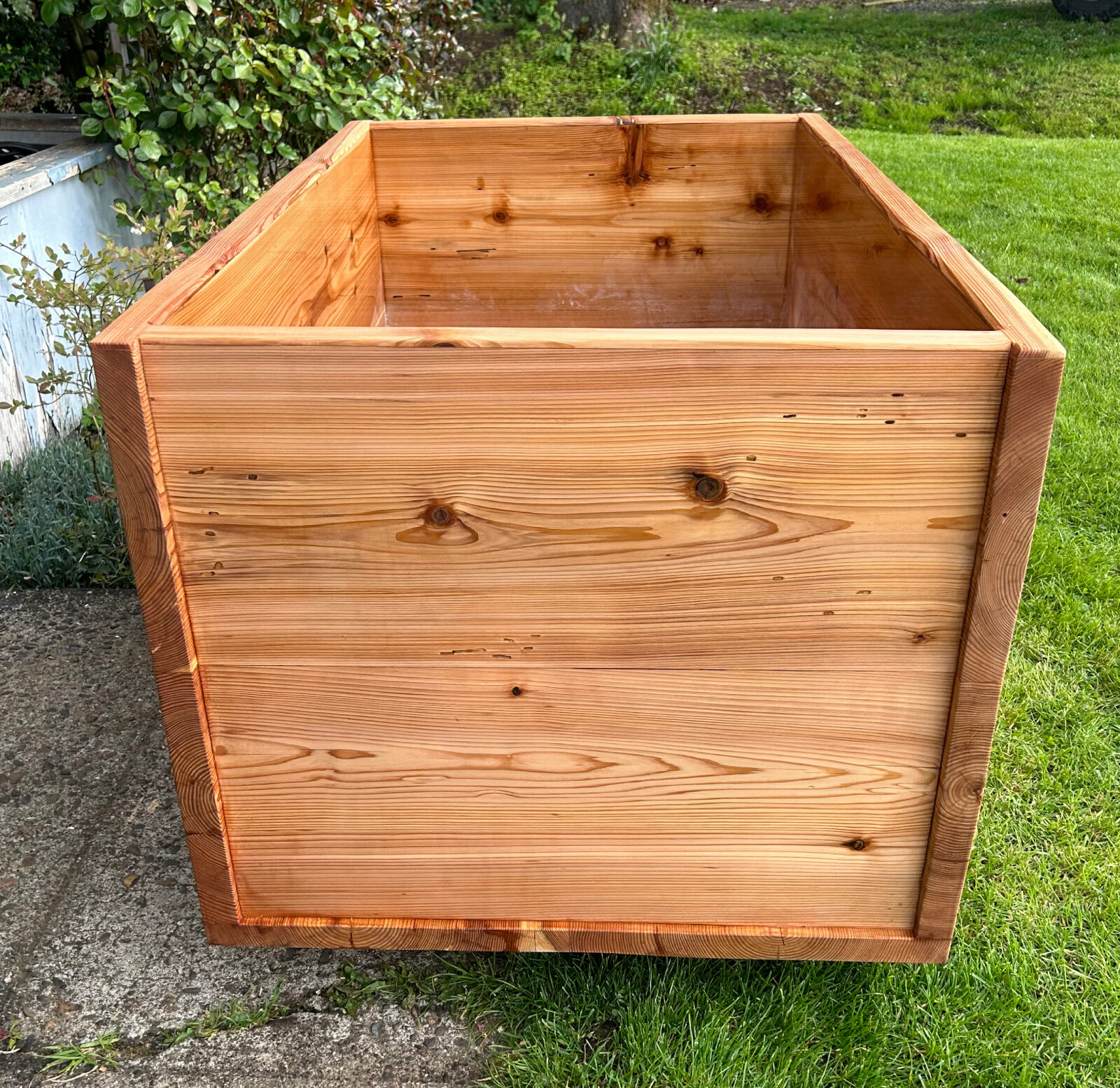 End of the cedar tub showing knots, grain and worm holes