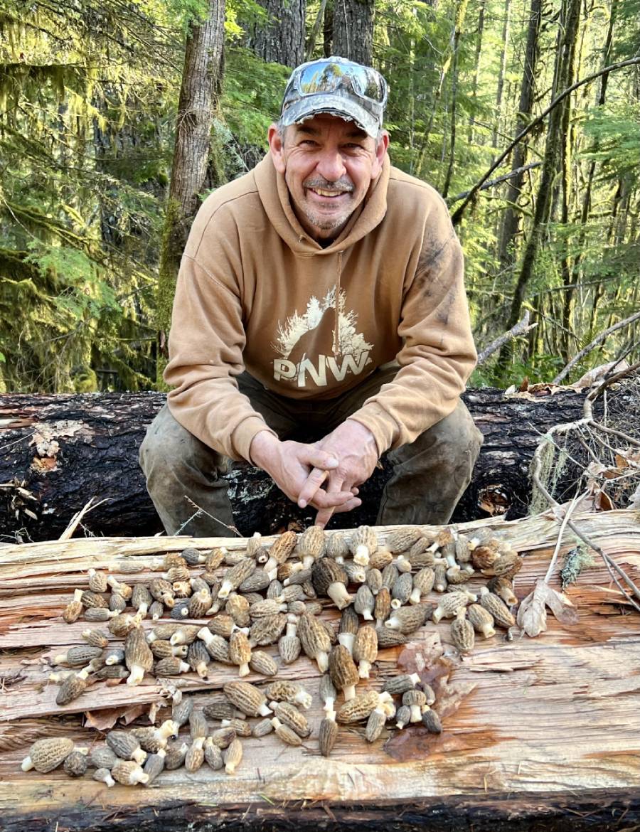 Troy Faccio - Lead Builder at Elemental Works